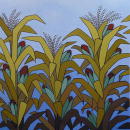 Le Mais caches - 100x100 cm