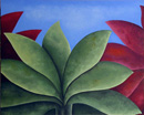 Naissance d'un palmier (Coll. prive) - 81x100 cm