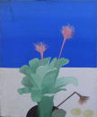 Plante aux oeufs durs - 54x65 cm
